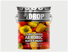 空氣凈化內墻水漆