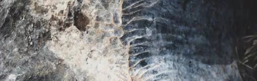 喬瓦尼藝術涂料