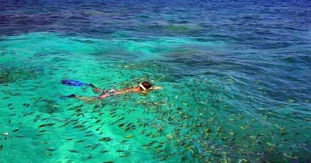 喬瓦尼藝術涂料