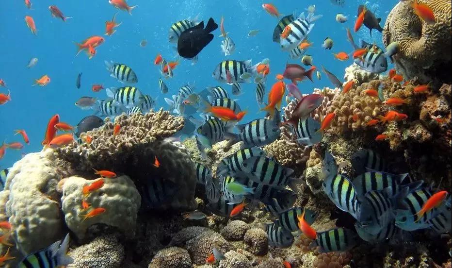 喬瓦尼藝術涂料